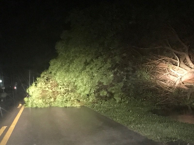 Hurricane Matthew: Vero Beach Florida damage