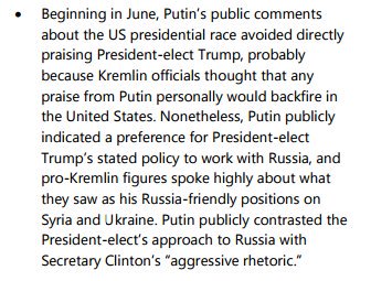 Zhirinovsky, Kremlin trolls - all in report  