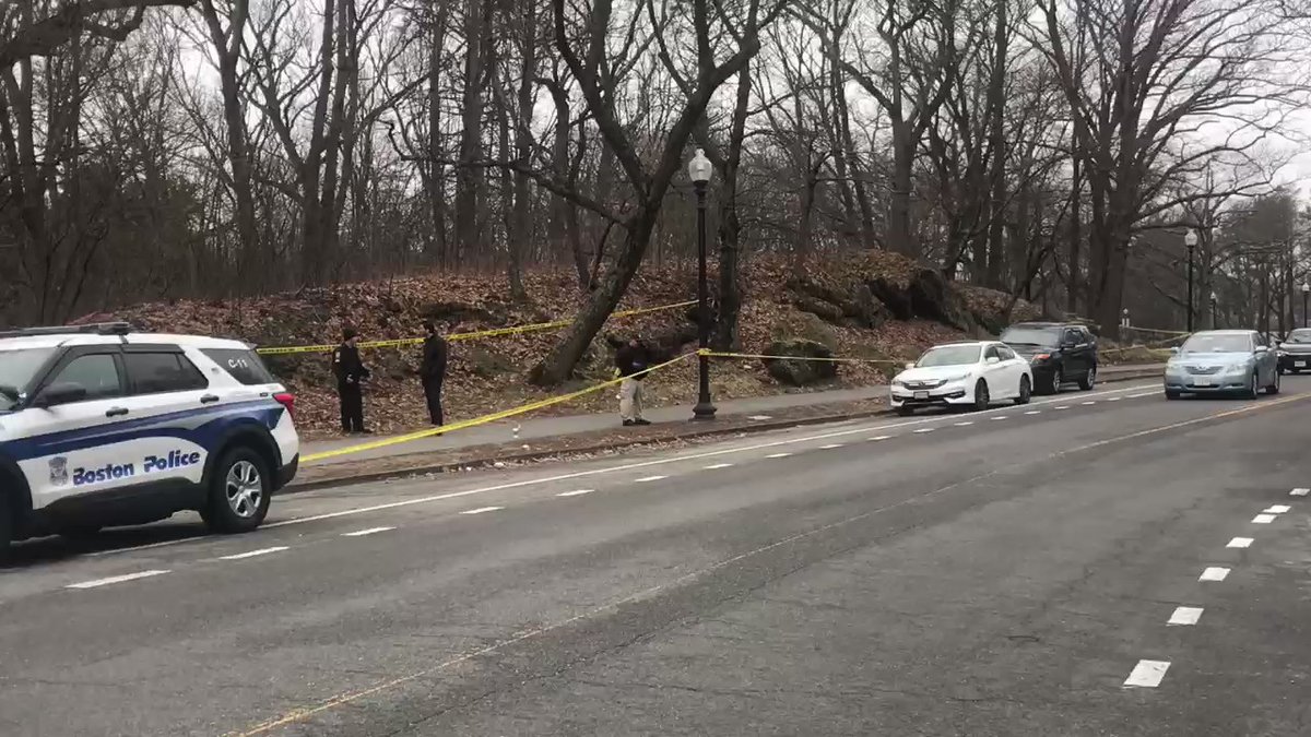 Boston Police and the DA's office still investigating that officer involved shooting in Jamaica Plain overnight..suspect suffered critical injuries