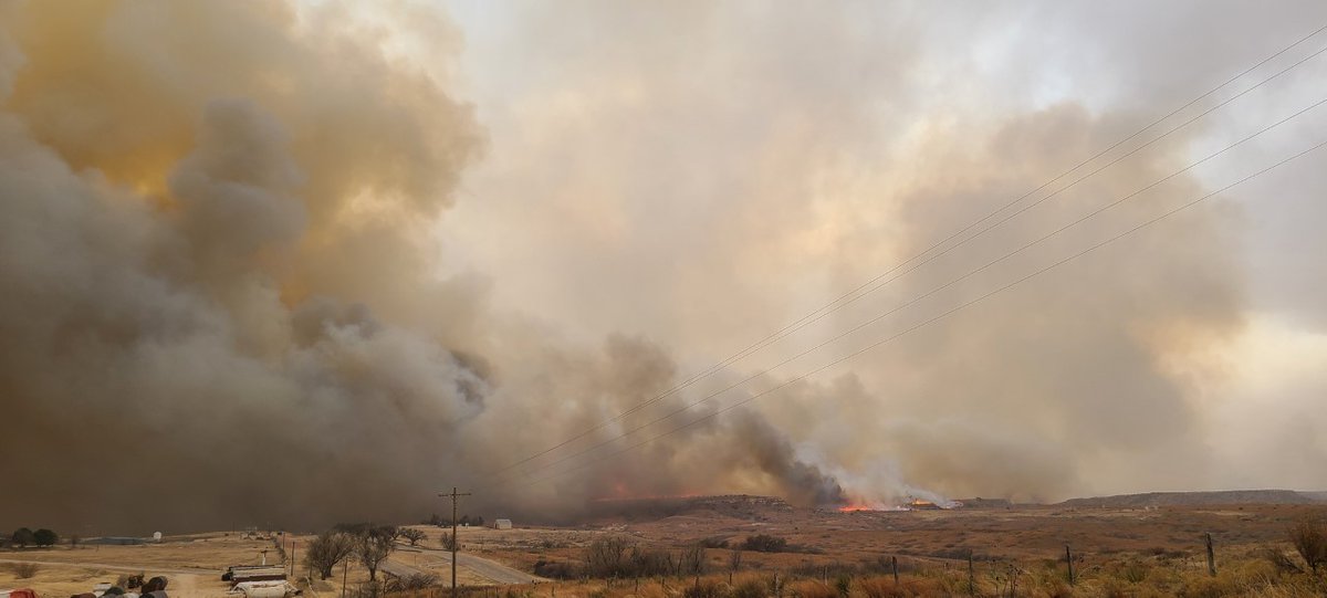 .@TXForestService has increased the State Wildfire Preparedness Level to Level 4.  fox44tx