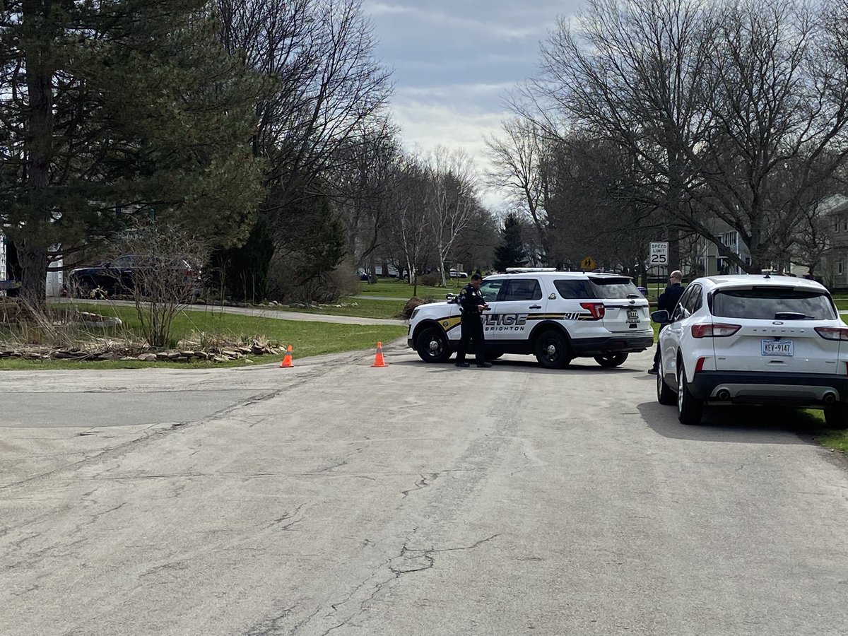 Large police presence on Idlewood in Brighton