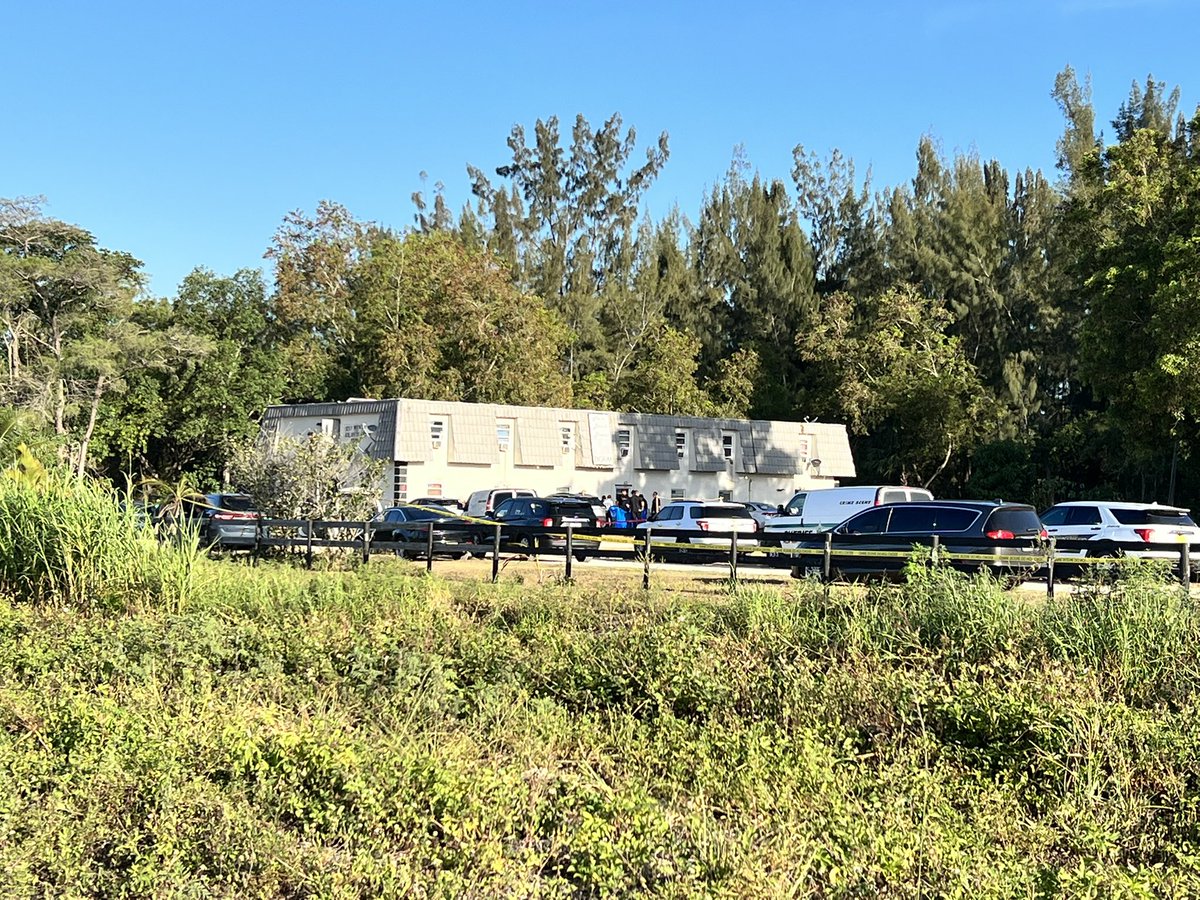 PBSO detectives are investigating an early morning homicide at Palm Beach Downs in unincorporated Delray Beach.