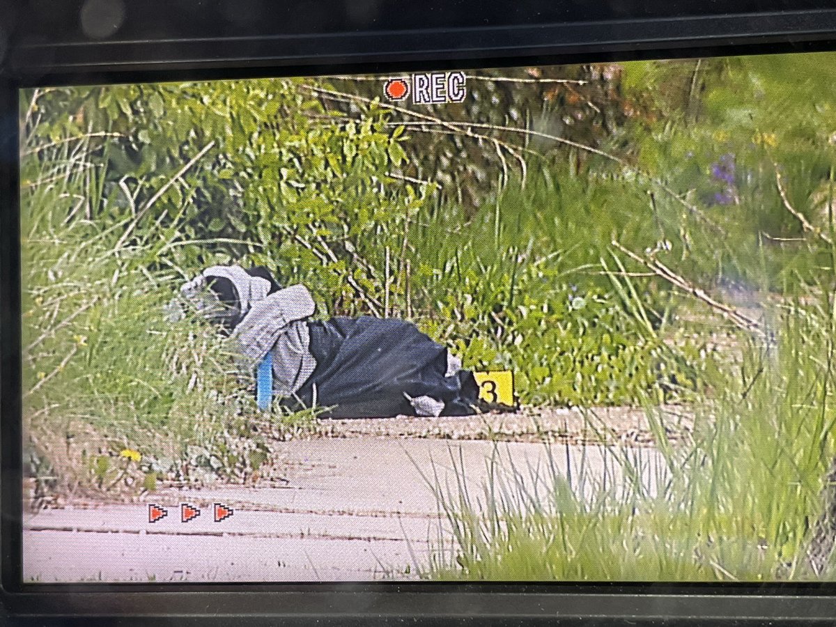 Toledo Police investigating a shooting on Yates Street near Lagrange