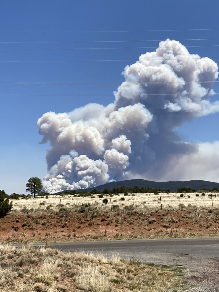 Pyrocumulus from Barillas Peak. 12:30 Friday
