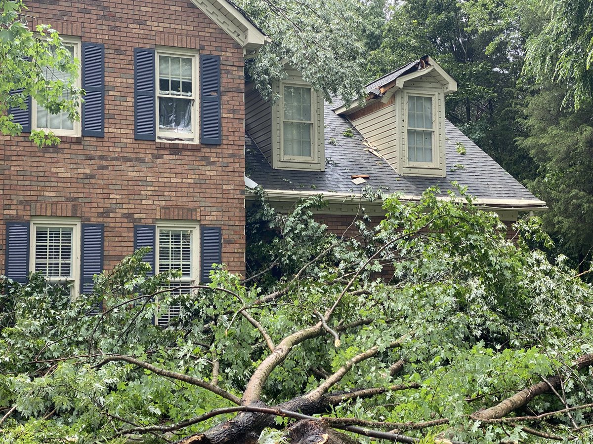 Storm response. More photos of damage.