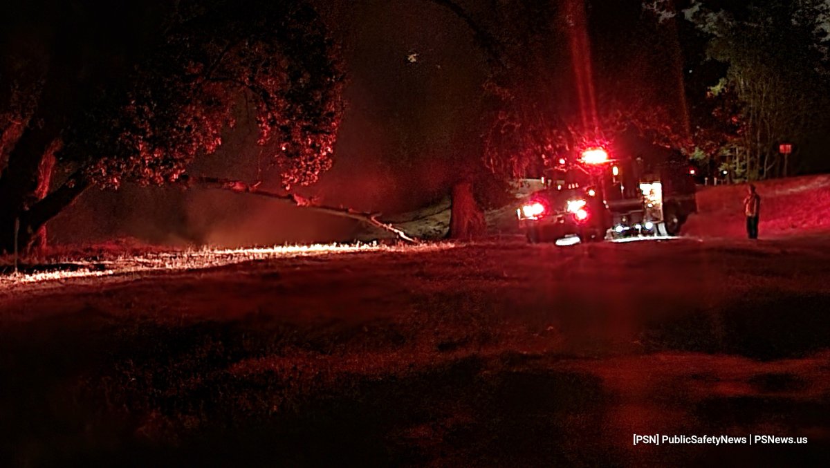 VegetationFire Arson WestSacramento Fire crews and Police are working an arson fire in the Broderick Boat Ramp area. Crews are mopping up as officers are looking for Stanely, a known firebug in the area, responsible for several other recent fires