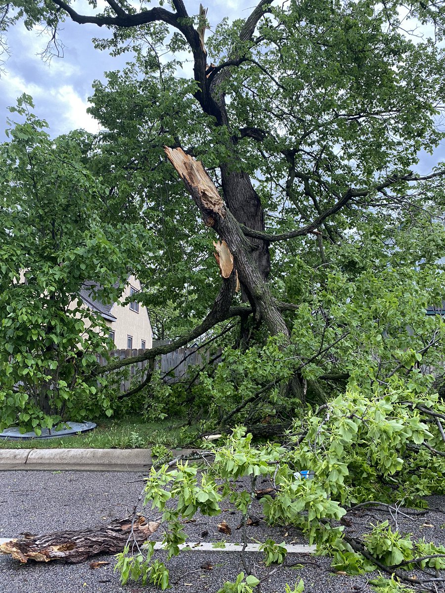 Huge tree limb down at 3rd Street. NE and Wilson in St. Cloud from the early morning storms. The truck looks the be spared but neighbors tell their power is spotty