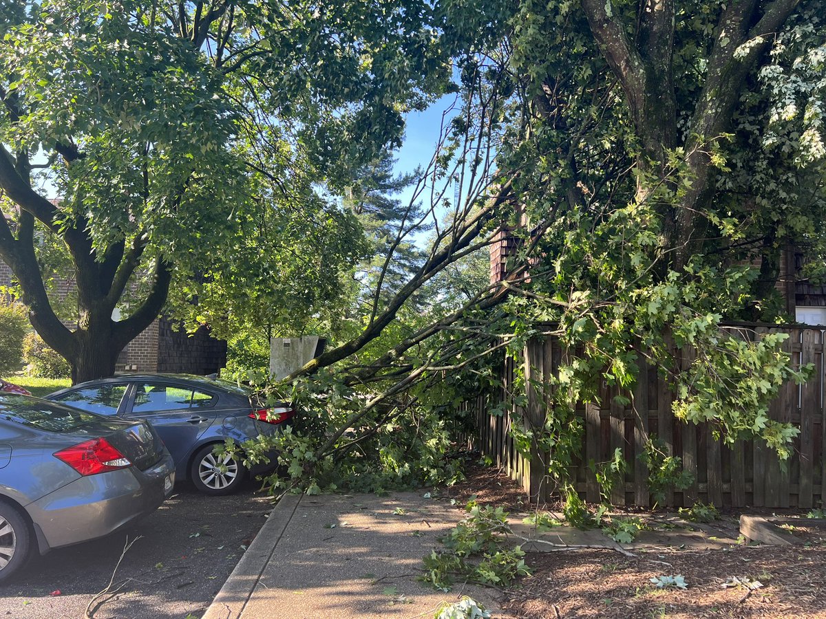 STORM DAMAGE: There are several snapped trees in the Green Leaf community in Columbia.   People who live here tell they're all okay. However, one neighbor has damage to her roof.