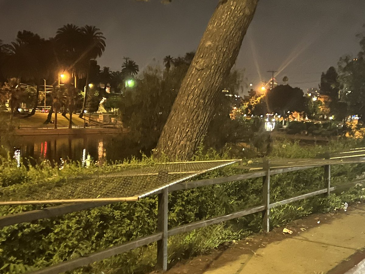 More fencing removed on the Southeast side of the park. LAPD car stationed on the south side