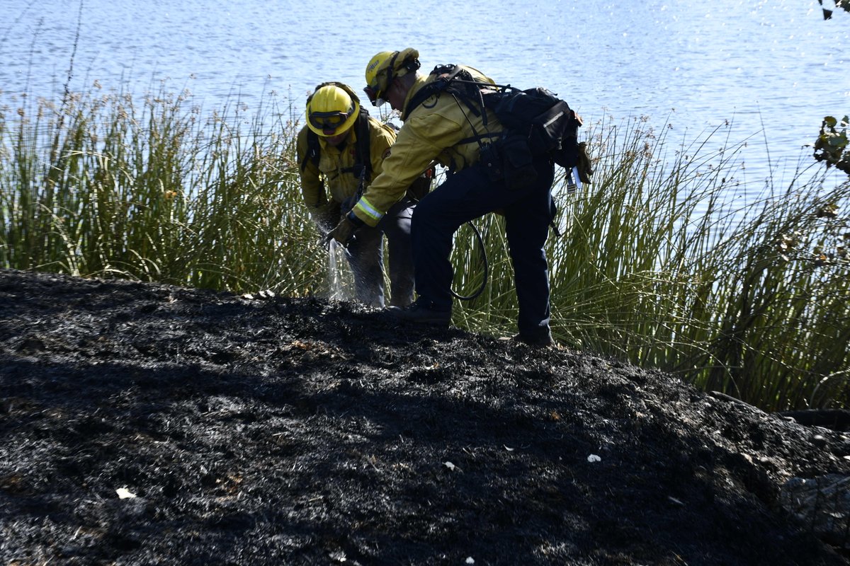 VineyardFire- CAL FIRE Sonoma-Lake-Napa Units responded to a vegetation fire on Dollarhide Rd in Pope Valley today. Fire was contained to .48 acres thanks to the quick response from Copter 104 and Helitak Crew. 2 engines remained at scene for mop up. Cause is under investigation