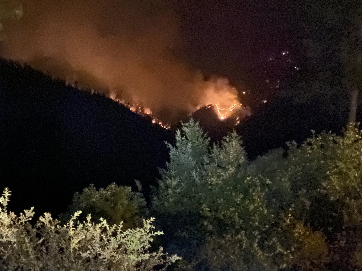 Here's a picture of some flames down a ridge not too far from Foresthill in Placer County.