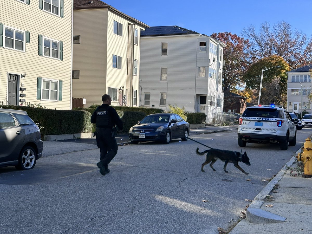 Is investigating a daytime shooting on Cutler Street.  Second shooting in the city in 12 hours. Evidence markers indicate several shell casings. Victim showed up at the hospital
