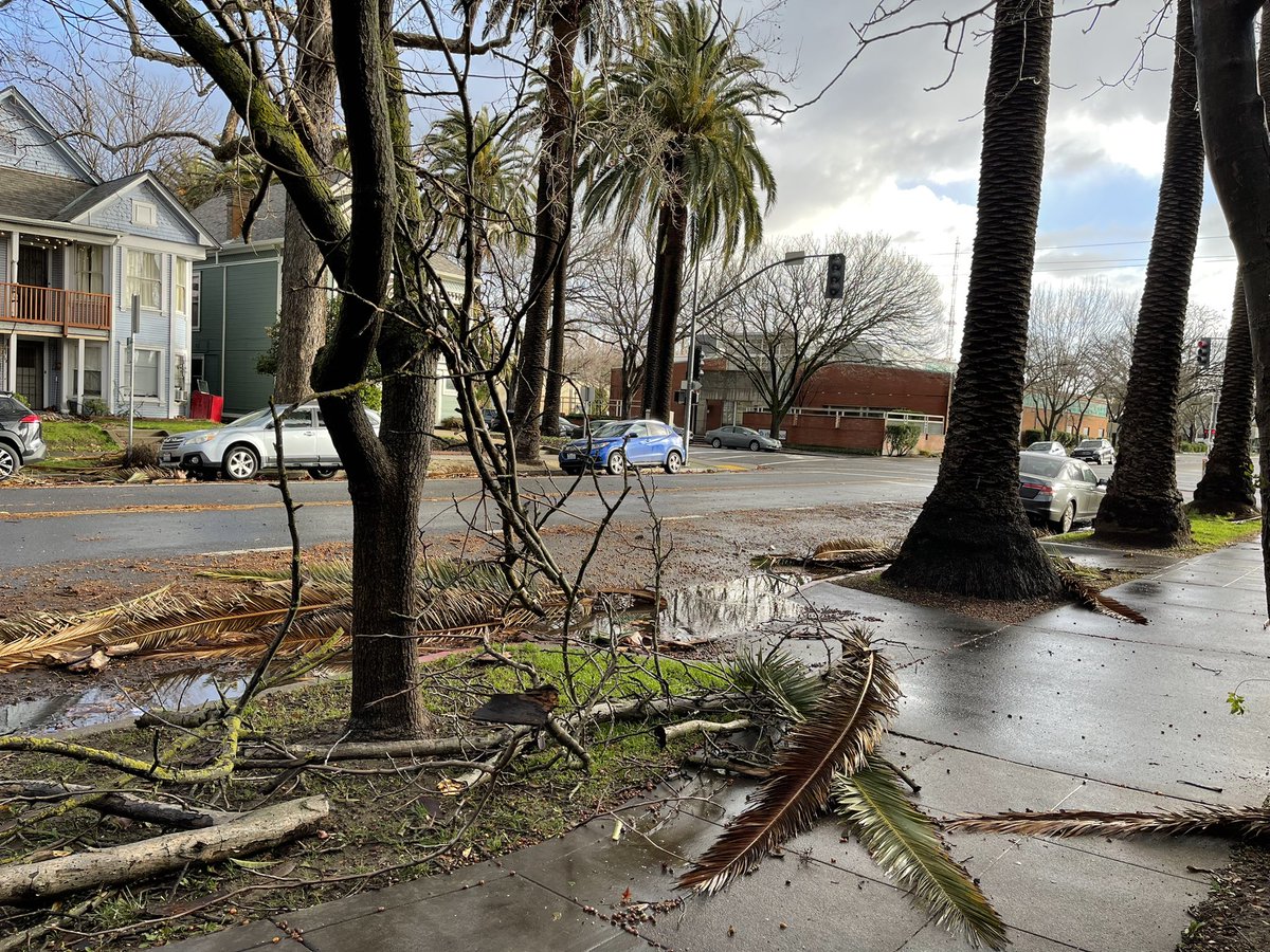 The morning after nearly 70mph winds hit midtown Sacramento last night. This is at T & 19th, you can see someone's motorcycle on its side