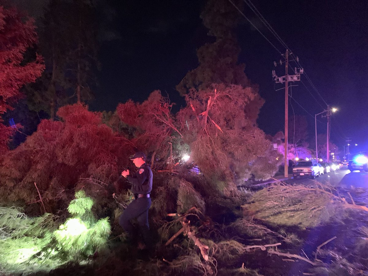 Strong winds knocking down trees and powerlines - smashing cars - blocking roads all over the Fresno/Clovis area