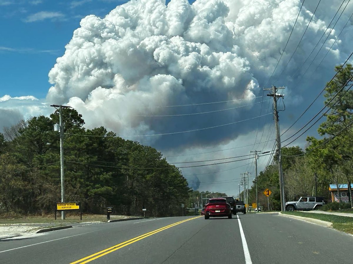 A wildfire is burning in Bass River State Forest in South Jersey. Photos shared with CBS News Philadelphia show the smoke rising from the trees