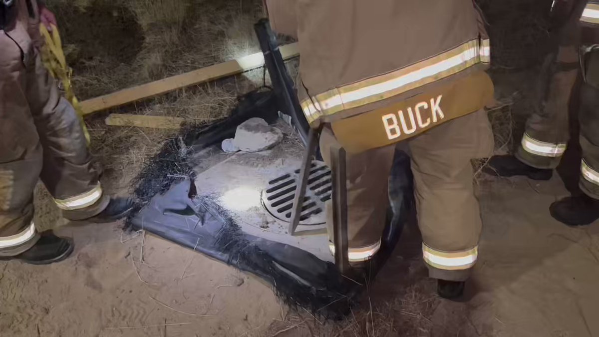 Colorado Springs Fire CSFD Engine 11 rescued 4 dogs trapped in a storm drain near Drennan  Rd and South Academy. The dogs entered a steep storm drain system approx 75' above the road and were unable to climb back out. The dogs appeared to be uninjured