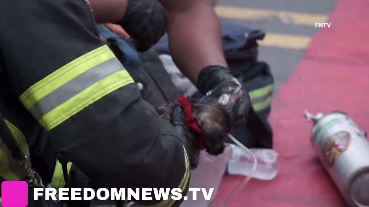 Puppy rescued and hotel guests evacuated, some treated for injuries sustained during a heavy 4 Alarm fire at a hotel on Spring St in Elizabeth, New Jersey. Reports of a roof collapse in part of the structure.