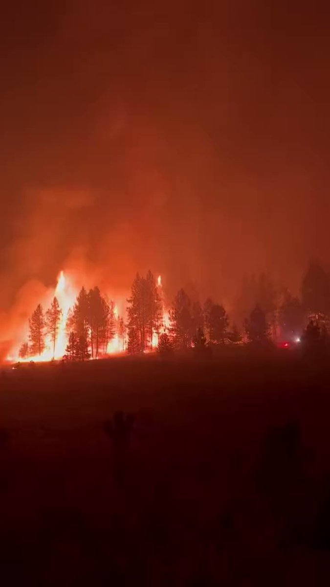 IncendioForestal in OregonRoad close to Elk , Washington USA nnThe fire has razed more than 4,000 hectares and destroyed at least 80 structures