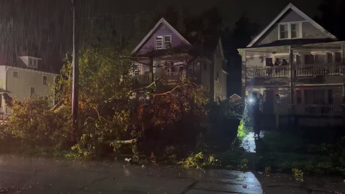 A family of three escaped injury when this tree fell on their house on Pierpont Avenue