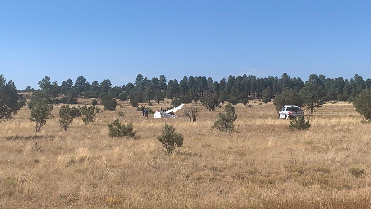 Three people are dead after a small plane crashes in Williams, authorities say:
