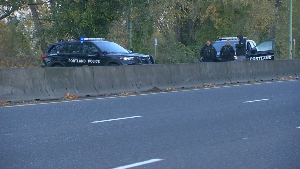 Man dies after being hit by driver in SE Portland; McLoughlin Blvd closed