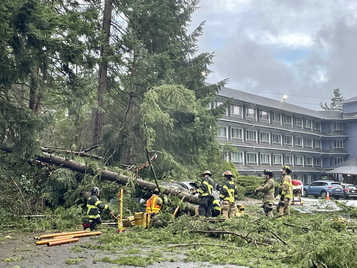 Firefighters are on scene of a rescue in the 4700 blk of S. 48th St. A large tree fell on a vehicle trapping one occupant inside. Tech rescue crews stabilized the tree and vehicle, and then safely removed the patient. The pt. was transported for evaluation with minor injuries