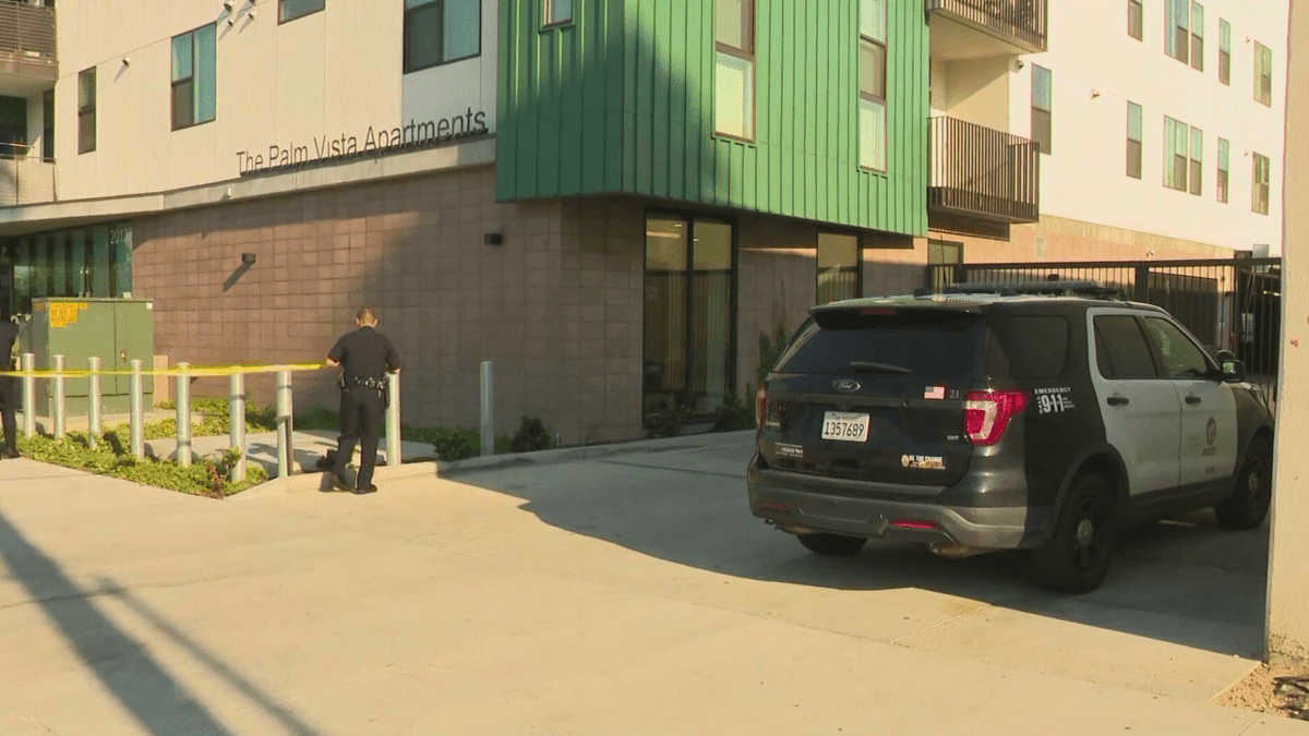 Boy, 3, dies after apparent overdose in Los Angeles. 2nd toddler in hospital