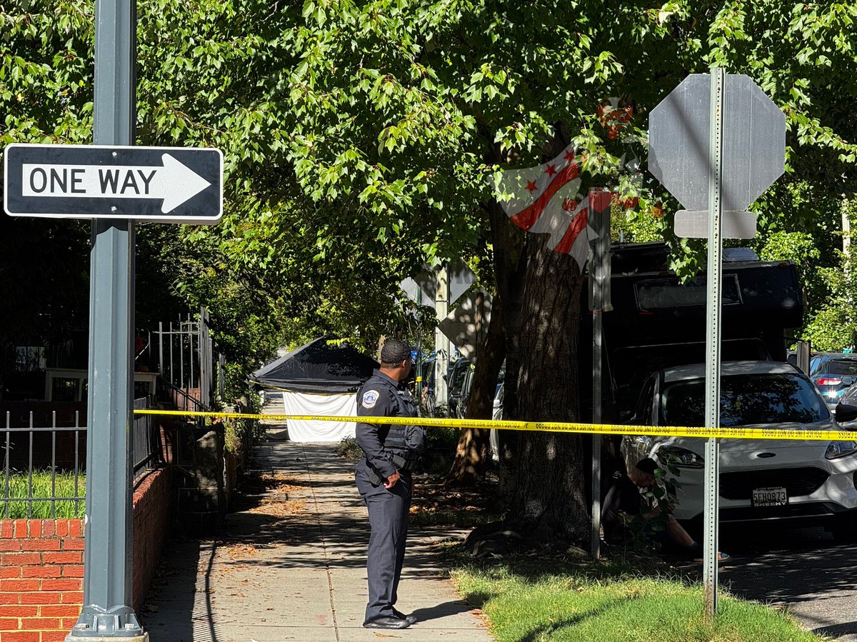 Homicide SHOOTING IN DC: 900 Bl. of 7th St. N.E. Mpd is on scene investigating a shooting with an adult male pronounced dead on scene: This is the 11th person killed in the last 8 days