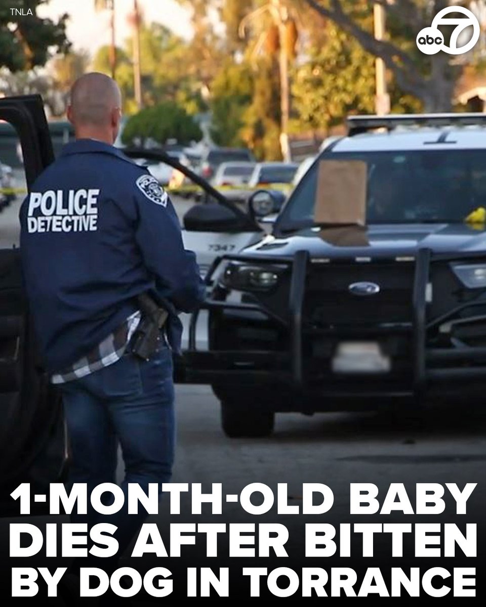 A one-month-old baby died after they were bit by a dog in Torrance, authorities said.  Additional details about the incident were not available, but Torrance Animal Control took possession of the dog