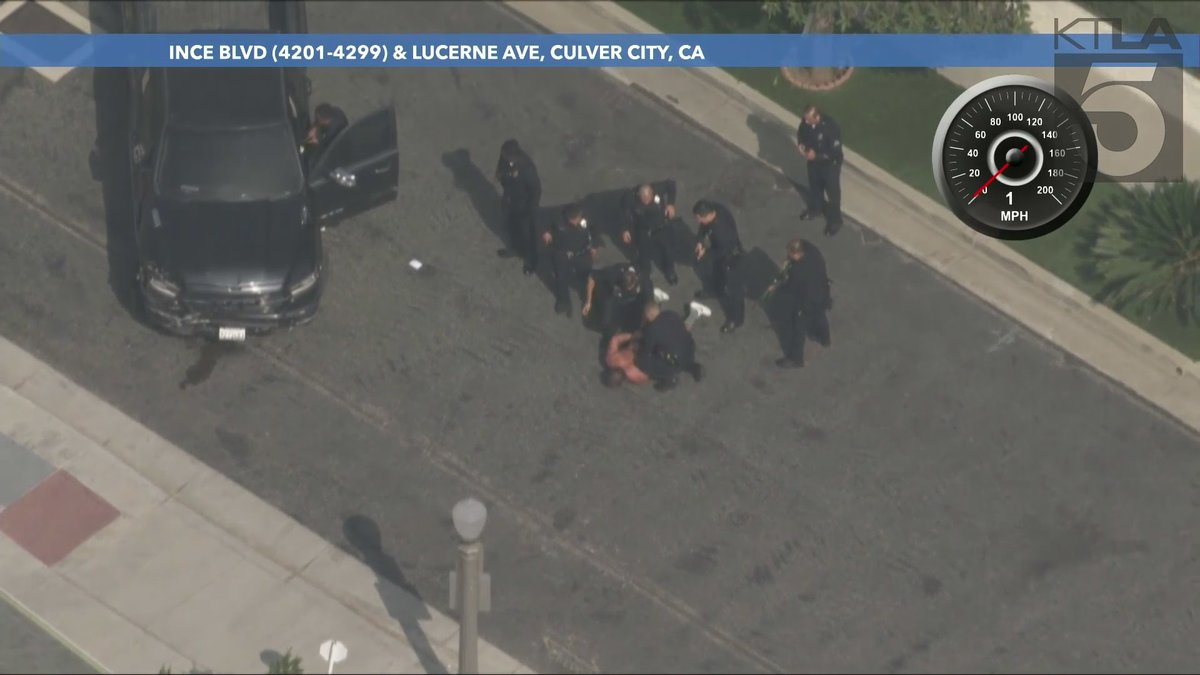 The suspect has been taken into custody after leading LAPD on a dangerous pursuit through Los Angeles.