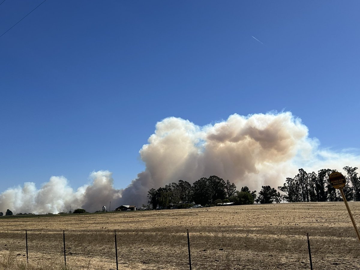 First views from Hay Road