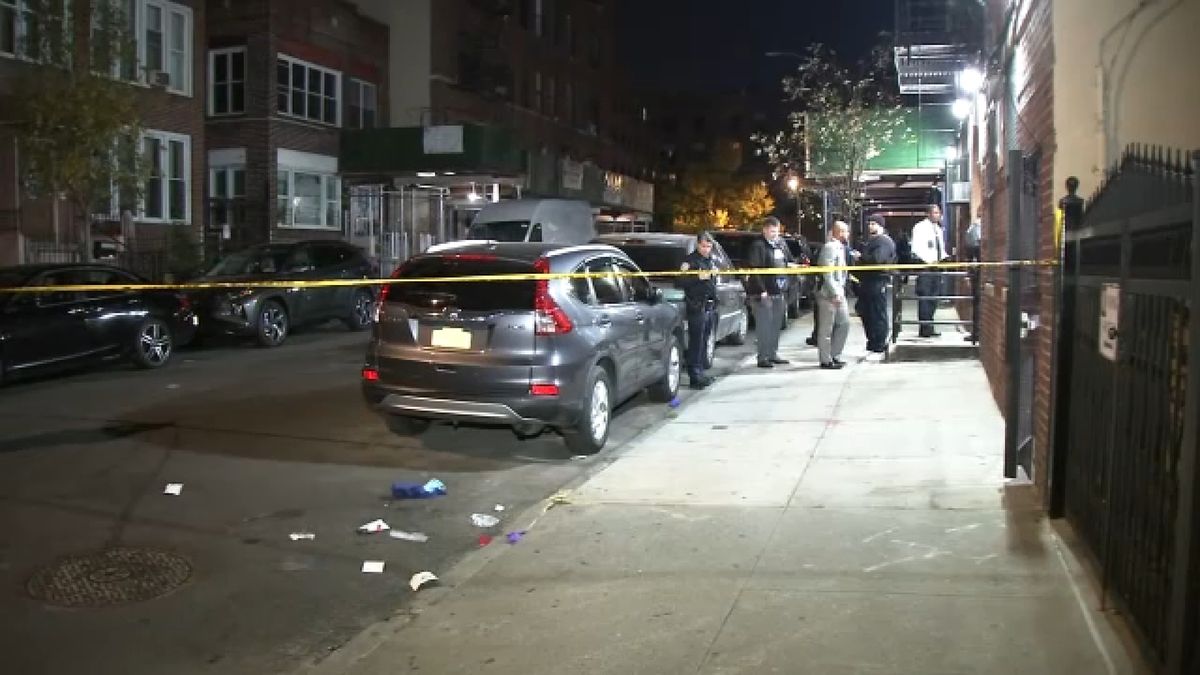 Teen fatally shot in the Bronx in the 600 block of Oak Terrace in Mott Haven.