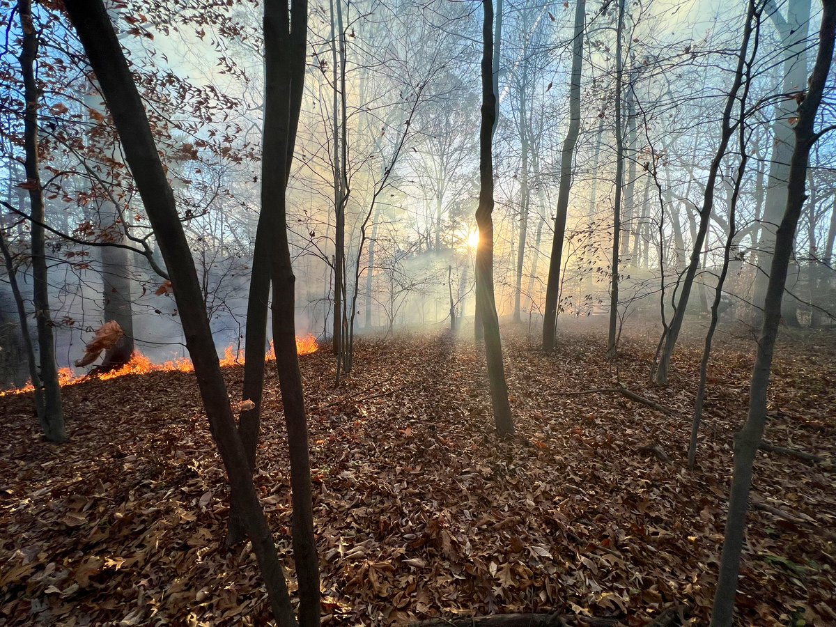 To establish a perimeter around the fire. In steep terrain. Approx dozen units operating. No injuries. Please avoid area around Beach Drive and Park Rd NW. DC firefighters