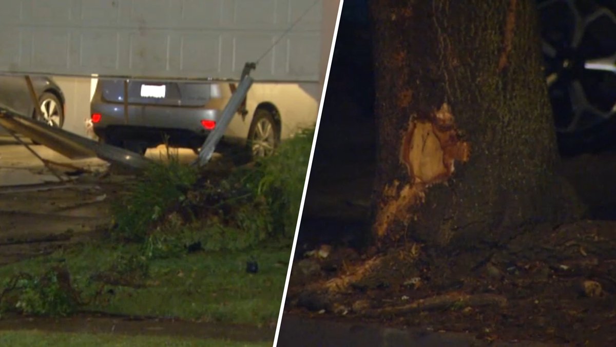 Two people died after a car slammed into a tree and part of a house in Fremont late Wednesday night, according to police and fire officials