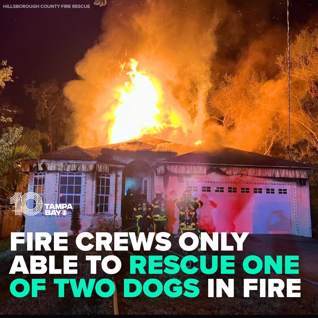 A serious house fire in Tampa trapped two dogs inside, but tragically, only one of them could be rescued. Here's what happened: