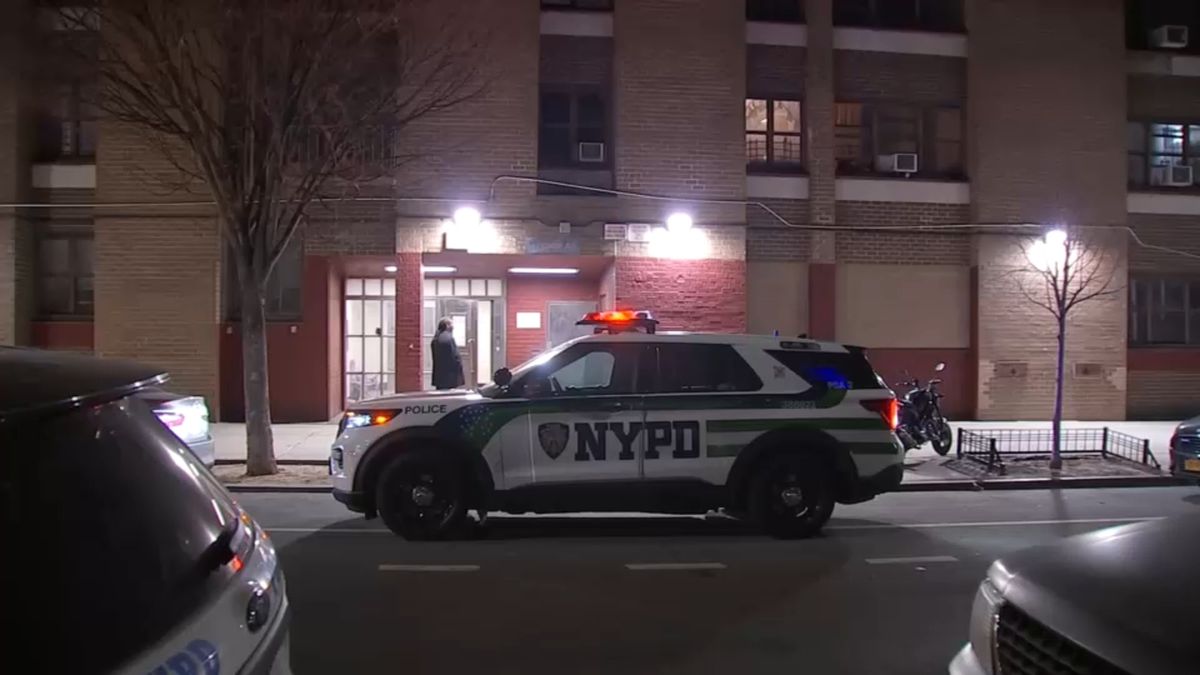 7-year-old boy and his mother found dead inside Brooklyn apartment: police sources