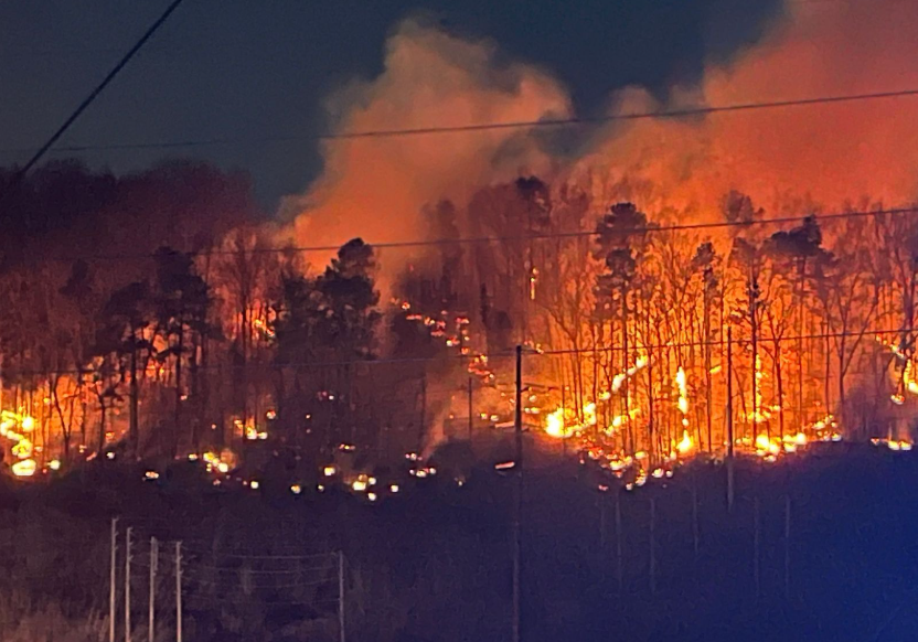 Firefighters responded to a large brush fire off Lakeshore Parkway near Bessemer