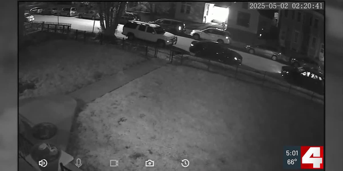 A teenager was shot and killed by his accomplices while breaking into cars, according to police