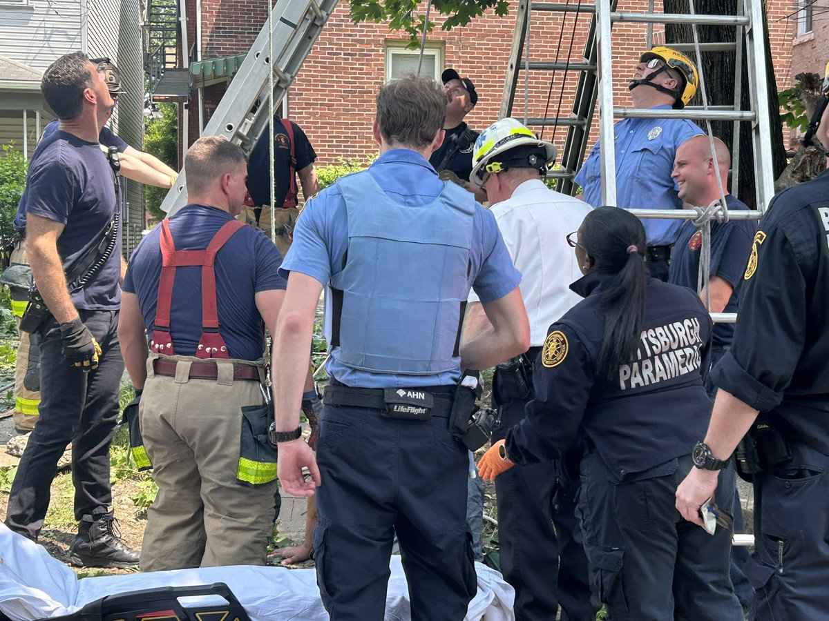 Police, Fire, and EMS responded for a tree pruner dangling inverted from a waist harness about 30 feet above the ground in the 200 block of Amboy St. Rescue crews used a ladder truck and patient harness and a rope lowering system to bring him safely to the ground before 2 p.m