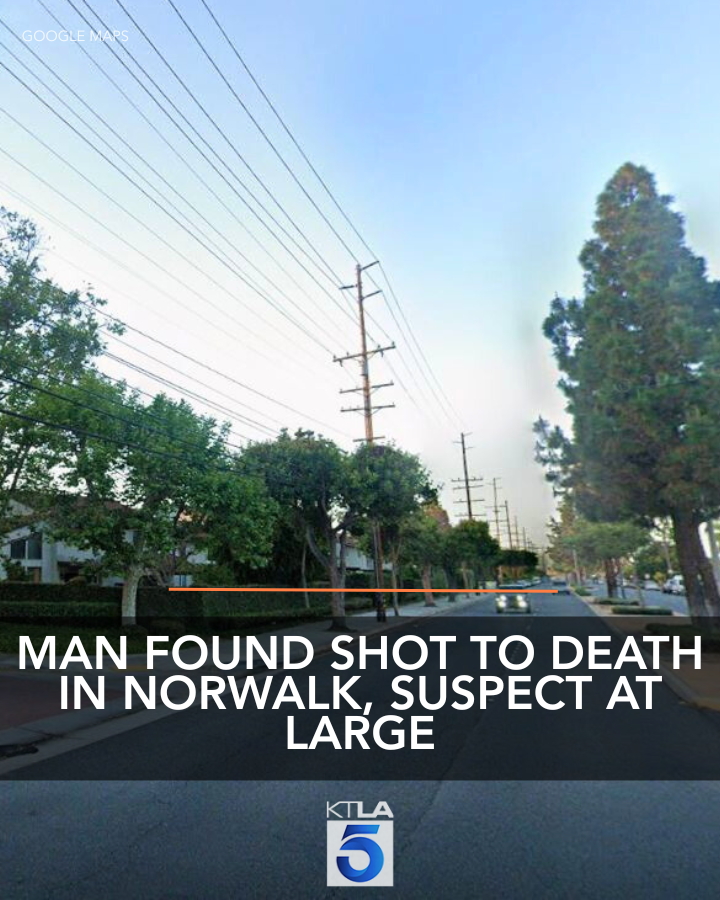 A suspect remains at large after a man was found shot to death in Norwalk