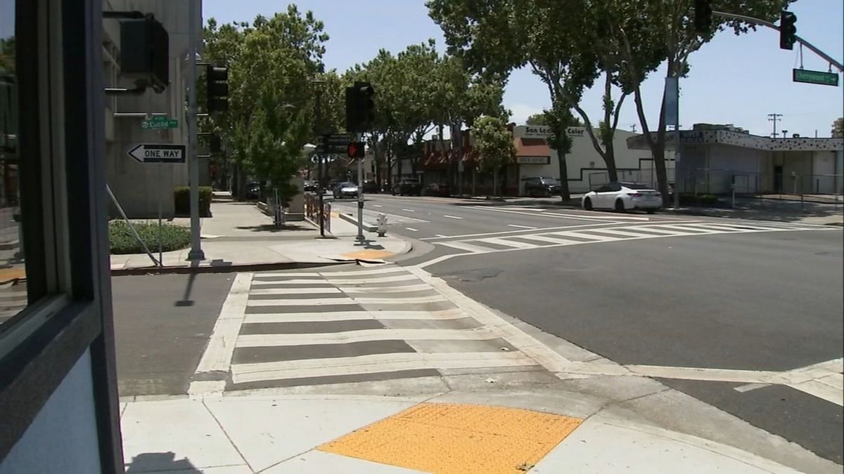 Man shot, killed while walking his dog in San Leandro, The man, in his late 40s, was lying on his back with the dog's leash still in his hand. The dog wasn't injured, police said.