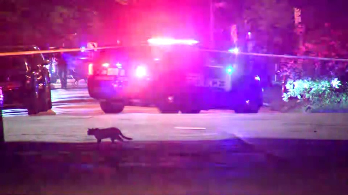 MPD are asking the public to avoid the area of 25th and Garfield as there is still a threat to the public and an active scene