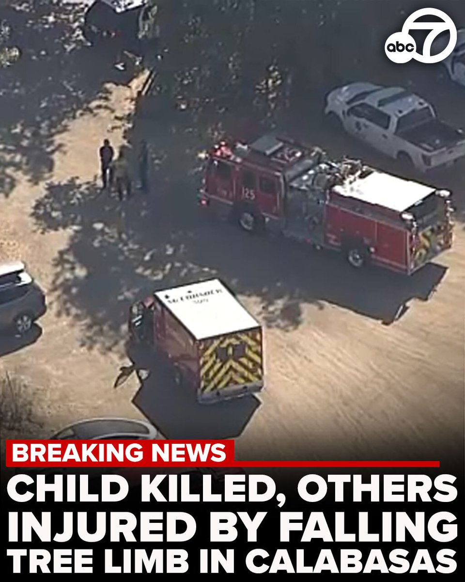 A child was killed and multiple people were injured after a tree limb fell on them at a summer camp in Calabasas, officials say