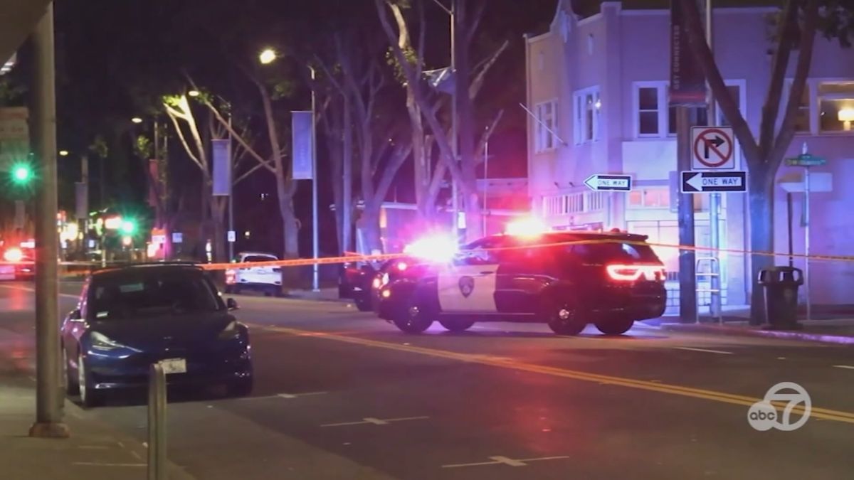 Court documents reveal what led up to deadly shooting of San Leandro woman walking dogs