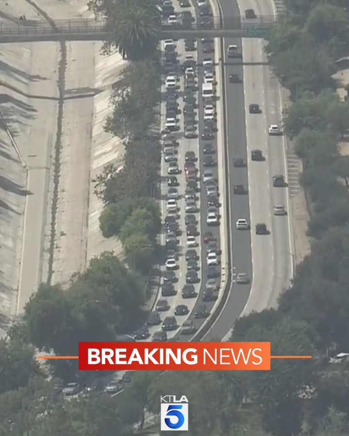 110 Fwy jammed after apparent jumper dies in roadway