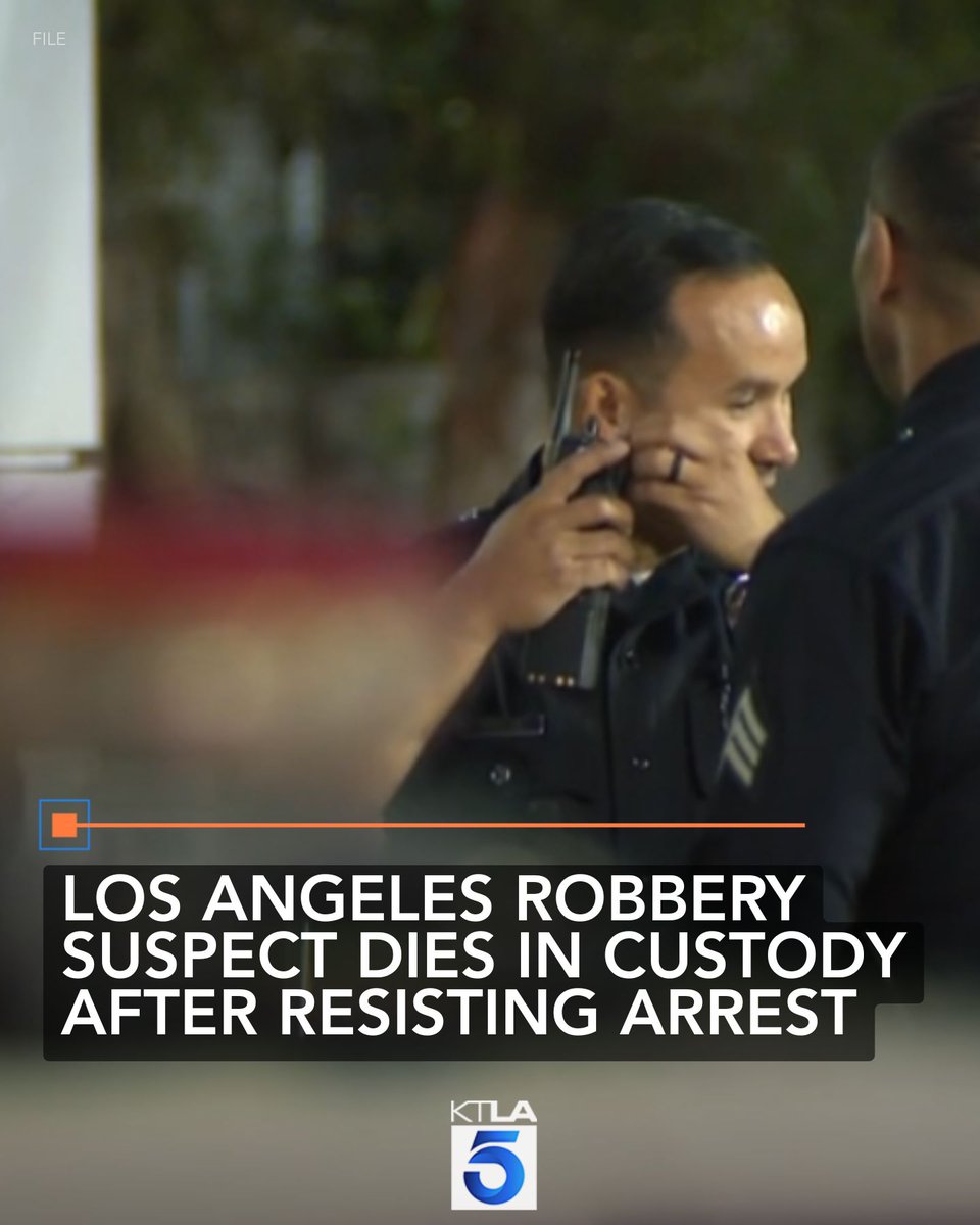 A robbery and vandalism suspect died in custody after resisting his arrest in the Harbor region of Los Angeles, police announced Thursday.
