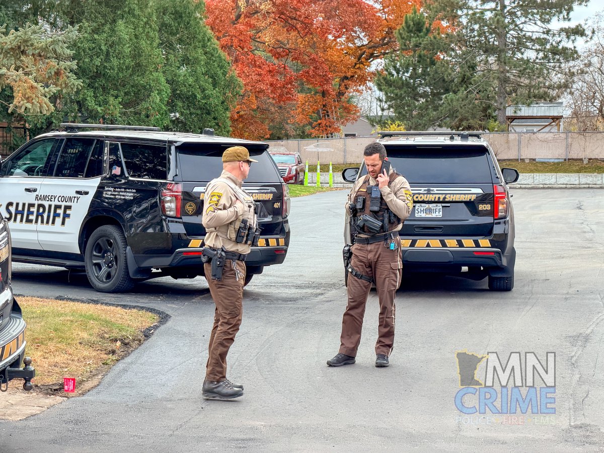 LITTLE CANADA: 3xx Labore Rd. — Deputies and medics responded after a woman in her 20s was struck by a vehicle during a domestic incident. The victim was reportedly semi-conscious when first responders arrived. The suspect fled the scene in a red BMW.