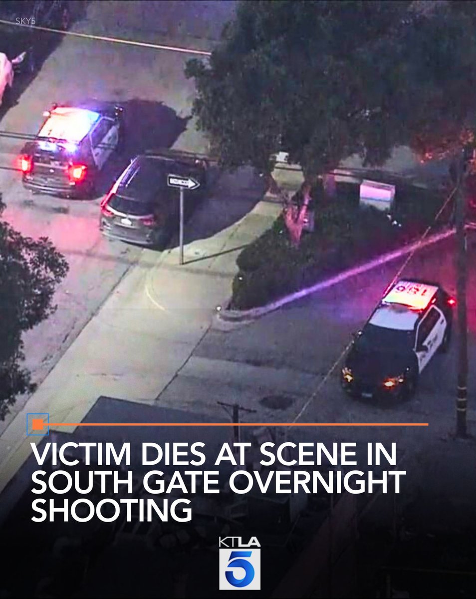 A homicide investigation is underway after a man was fatally shot in South Gate early Wednesday