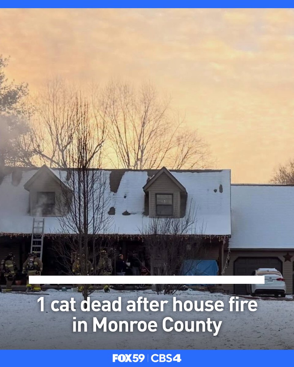 An investigation is underway after a cat died in a house fire in Monroe County Friday afternoon