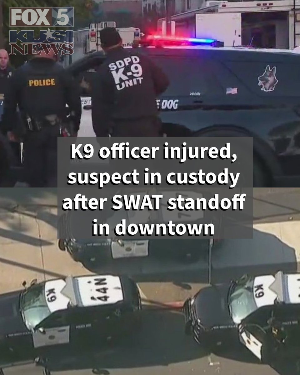 An hours-long SWAT standoff in Downtown on Tuesday ended with a suspect in custody and an injured K9 officer, according to the San Diego Police Department